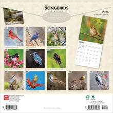 Load image into Gallery viewer, Browntrout Songbirds 2026 12 x 12 Wall Calendar