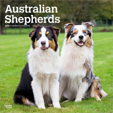 Load image into Gallery viewer, Browntrout Australian Shepherds 2026 12 x 12 Wall Calendar