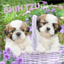 Load image into Gallery viewer, Browntrout Shih Tzu Puppies 2026 12 x 12 Wall Calendar