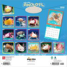 Load image into Gallery viewer, Browntrout Adorable Axolotl 2026 12 x 12 Wall Calendar