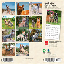 Load image into Gallery viewer, Browntrout Australian Cattle Dogs 2026 7 x 7 Mini Calendar