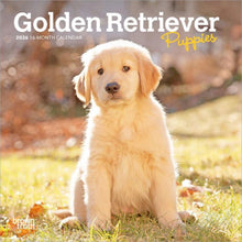 Load image into Gallery viewer, Browntrout Golden Retriever Puppies 2026 7 x 7 Mini Calendar