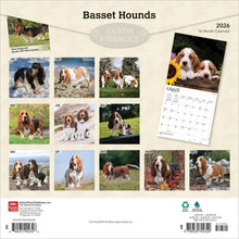 Load image into Gallery viewer, Browntrout Basset Hounds 2026 12 x 12 Wall Calendar