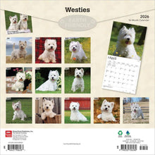 Load image into Gallery viewer, Browntrout West Highland White Terriers 2026 12 x 12 Wall Calendar