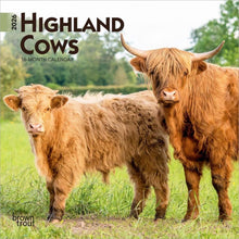 Load image into Gallery viewer, Browntrout Highland Cows 2026 7 x 7 Mini Calendar