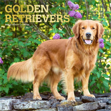 Load image into Gallery viewer, Browntrout Golden Retrievers 2026 12 x 12 Wall Calendar