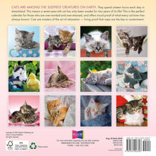 Load image into Gallery viewer, Sellers Publishing Cat Naps 2026 7 x 7 Mini Calendar