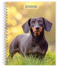 Load image into Gallery viewer, Browntrout Dachshunds 2026 6 x 7.75 Weekly Engagement Planner