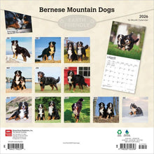 Load image into Gallery viewer, Browntrout Bernese Mountain Dogs 2026 12 x 12 Wall Calendar