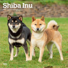 Load image into Gallery viewer, Browntrout Shiba Inu 2026 12 x 12 Wall Calendar