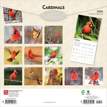 Load image into Gallery viewer, Browntrout Cardinals 2026 12 x 12 Wall Calendar