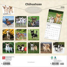 Load image into Gallery viewer, Browntrout Chihuahuas 2026 12 x 12 Wall Calendar