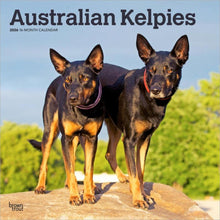 Load image into Gallery viewer, Browntrout Australian Kelpies 2026 12 x 12 Wall Calendar
