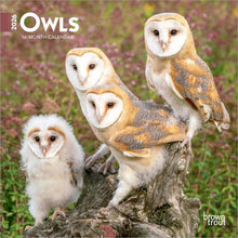 Load image into Gallery viewer, Browntrout Owls 2026 7 x 7 Mini Calendar