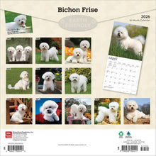 Load image into Gallery viewer, Browntrout Bichon Frise 2026 12 x 12 Wall Calendar