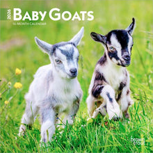 Load image into Gallery viewer, Browntrout Baby Goats 2026 7 x 7 Mini Calendar