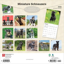 Load image into Gallery viewer, Browntrout Miniature Schnauzers 2026 12 x 12 Wall Calendar