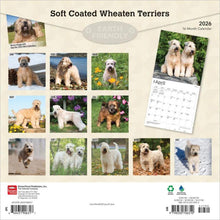Load image into Gallery viewer, Browntrout Soft Coated Wheaten Terriers 2026 12 x 12 Wall Calendar