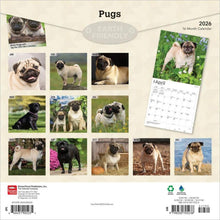 Load image into Gallery viewer, Browntrout Pugs 2026 12 x 12 Wall Calendar