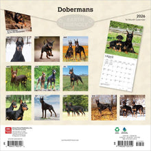 Load image into Gallery viewer, Browntrout Dobermans 2026 12 x 12 Wall Calendar