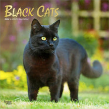 Load image into Gallery viewer, Browntrout Black Cats 2026 12 x 12 Wall Calendar