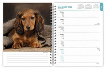 Load image into Gallery viewer, Browntrout Dachshunds 2026 6 x 7.75 Weekly Engagement Planner