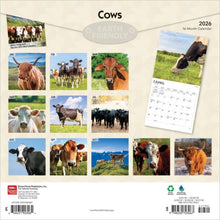 Load image into Gallery viewer, Browntrout Cows 2026 12 x 12 Wall Calendar