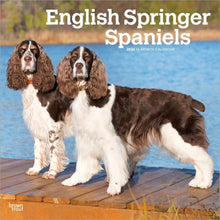 Load image into Gallery viewer, Browntrout English Springer Spaniels 2026 12 x 12 Wall Calendar