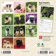 Load image into Gallery viewer, Browntrout Pug Puppies 2026 7 x 7 Mini Calendar
