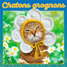 Load image into Gallery viewer, Browntrout Avanti Chatons Grognons OFFICIAL 2026 7 x 7 Mini Calendar