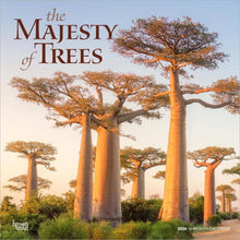 Load image into Gallery viewer, Browntrout The Majesty of Trees 2026 12 x 12 Wall Calendar