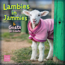 Load image into Gallery viewer, Sellers Publishing Lambies in Jammies 2026 12 x 12 Wall Calendar