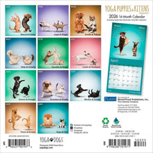 Load image into Gallery viewer, Browntrout Yoga Puppies & Kittens Together OFFICIAL 2026 7 x 7 Mini Calendar