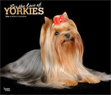 Load image into Gallery viewer, Browntrout For the Love of Yorkshire Terriers 2026 14 x 12 Wall Calendar
