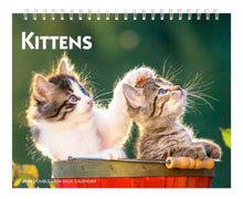 Load image into Gallery viewer, Browntrout Kittens 2026 Double-View Easel Desk Calendar