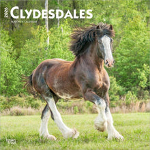 Load image into Gallery viewer, Browntrout Clydesdales 2026 12 x 12 Wall Calendar