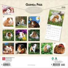 Load image into Gallery viewer, Browntrout Guinea Pigs 2026 12 x 12 Wall Calendar