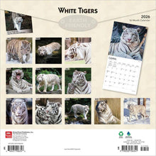 Load image into Gallery viewer, Browntrout White Tigers 2026 12 x 12 Wall Calendar