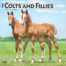 Load image into Gallery viewer, Browntrout Colts and Fillies 2026 12 x 12 Wall Calendar