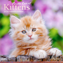 Load image into Gallery viewer, Browntrout For the Love of Kittens 2026 7 x 7 Mini Calendar