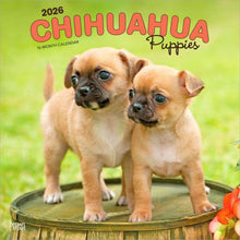 Load image into Gallery viewer, Browntrout Chihuahua Puppies 2026 12 x 12 Wall Calendar