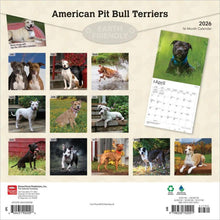 Load image into Gallery viewer, Browntrout American Pit Bull Terriers 2026 12 x 12 Wall Calendar