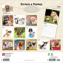 Load image into Gallery viewer, Browntrout Kittens & Puppies 2026 12 x 12 Wall Calendar