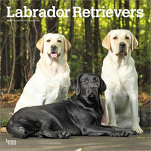 Load image into Gallery viewer, Browntrout Labrador Retrievers 2026 12 x 12 Wall Calendar