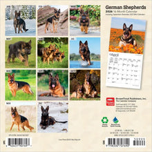 Load image into Gallery viewer, Browntrout German Shepherds 2026 7 x 7 Mini Calendar