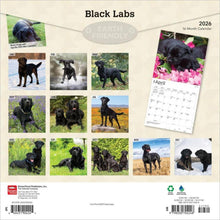 Load image into Gallery viewer, Browntrout Black Labrador Retrievers 2026 12 x 12 Wall Calendar