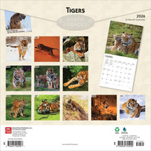 Load image into Gallery viewer, Browntrout Tigers 2026 12 x 12 Wall Calendar