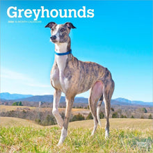 Load image into Gallery viewer, Browntrout Greyhounds 2026 12 x 12 Wall Calendar