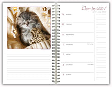 Load image into Gallery viewer, Sellers Publishing Cat Naps 2026 Weekly Planner