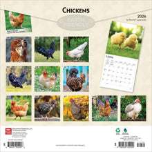 Load image into Gallery viewer, Browntrout Chickens 2026 12 x 12 Wall Calendar